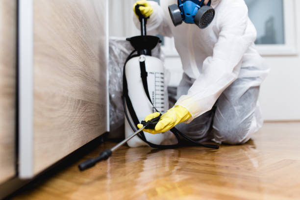 Best Pest Prevention Services  in Belleair Bluffs, FL