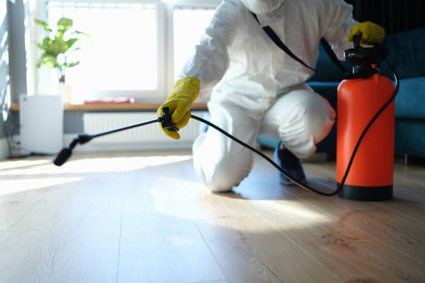 Best Pest Control for Homes  in Belleair Bluffs, FL
