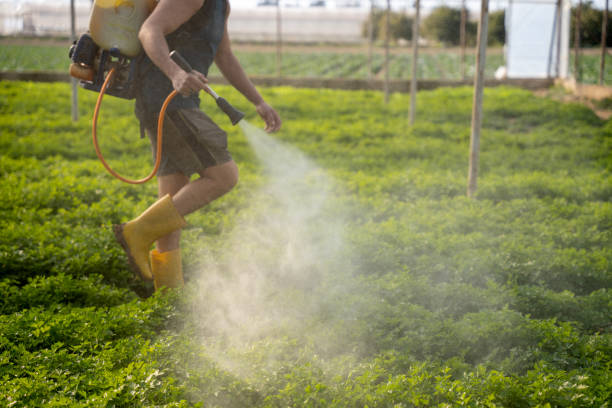 Best Best Pest Control Companies  in Belleair Bluffs, FL