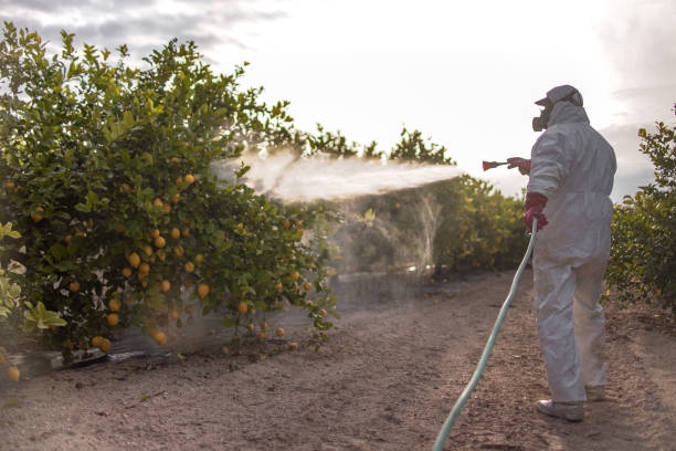 Best Residential Pest Control  in Belleair Bluffs, FL