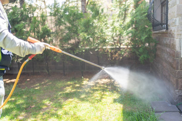 Best Emergency Pest Control  in Belleair Bluffs, FL