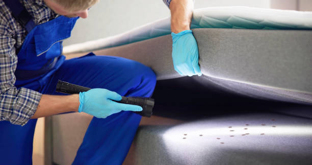 Pest Control for Restaurants in Belleair Bluffs, FL